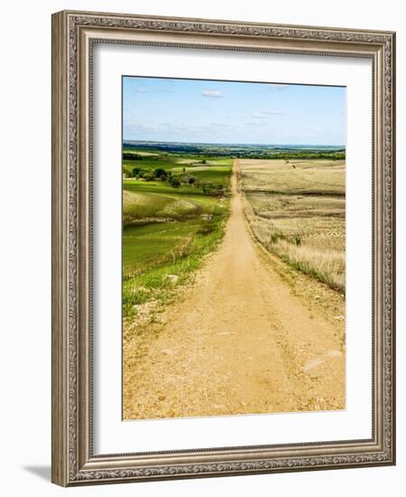 Road in the Flint Hills, dividing two colors of grass-Michael Scheufler-Framed Photographic Print