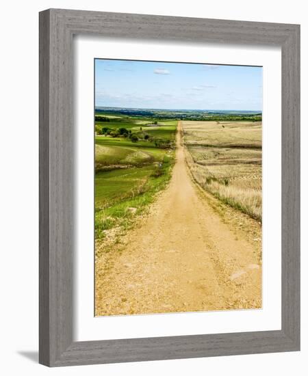 Road in the Flint Hills, dividing two colors of grass-Michael Scheufler-Framed Photographic Print