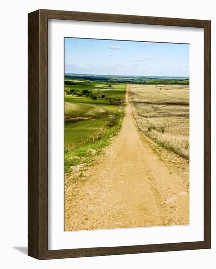 Road in the Flint Hills, dividing two colors of grass-Michael Scheufler-Framed Photographic Print