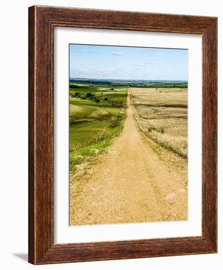Road in the Flint Hills, dividing two colors of grass-Michael Scheufler-Framed Photographic Print
