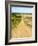 Road in the Flint Hills, dividing two colors of grass-Michael Scheufler-Framed Photographic Print