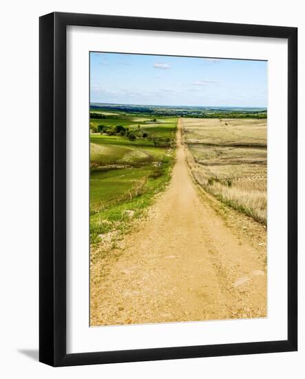 Road in the Flint Hills, dividing two colors of grass-Michael Scheufler-Framed Photographic Print