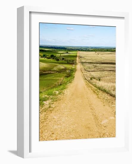 Road in the Flint Hills, dividing two colors of grass-Michael Scheufler-Framed Photographic Print