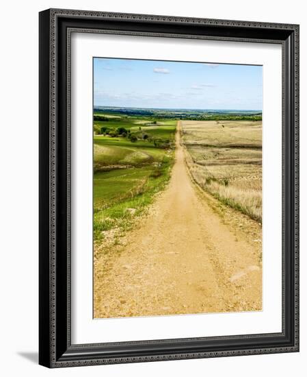 Road in the Flint Hills, dividing two colors of grass-Michael Scheufler-Framed Photographic Print