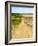 Road in the Flint Hills, dividing two colors of grass-Michael Scheufler-Framed Photographic Print