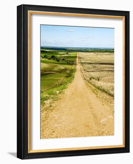 Road in the Flint Hills, dividing two colors of grass-Michael Scheufler-Framed Photographic Print