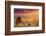 Road in Tuscany, Italy-Peter Adams-Framed Photographic Print