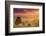 Road in Tuscany, Italy-Peter Adams-Framed Photographic Print