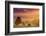 Road in Tuscany, Italy-Peter Adams-Framed Photographic Print