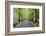 Road leading through avenue of beech trees with fallen autumn leaves, Batsford, Gloucestershire, En-Stuart Black-Framed Photographic Print