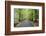 Road leading through avenue of beech trees with fallen autumn leaves, Batsford, Gloucestershire, En-Stuart Black-Framed Photographic Print