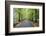 Road leading through avenue of beech trees with fallen autumn leaves, Batsford, Gloucestershire, En-Stuart Black-Framed Photographic Print