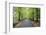 Road leading through avenue of beech trees with fallen autumn leaves, Batsford, Gloucestershire, En-Stuart Black-Framed Photographic Print