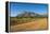 Road Leading to the Granite Peaks of Mount Mulanje, Malawi, Africa-Michael Runkel-Framed Premier Image Canvas