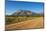 Road Leading to the Granite Peaks of Mount Mulanje, Malawi, Africa-Michael Runkel-Mounted Photographic Print