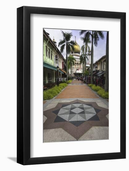 Road Leading to the Sultan Mosque in the Arab Quarter, Singapore, Southeast Asia, Asia-John Woodworth-Framed Photographic Print