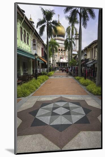 Road Leading to the Sultan Mosque in the Arab Quarter, Singapore, Southeast Asia, Asia-John Woodworth-Mounted Photographic Print