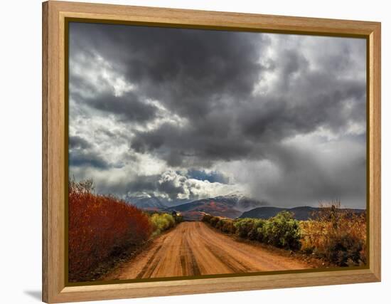 Road Less Travelled-Steven Maxx-Framed Premier Image Canvas
