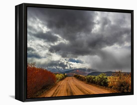 Road Less Travelled-Steven Maxx-Framed Premier Image Canvas