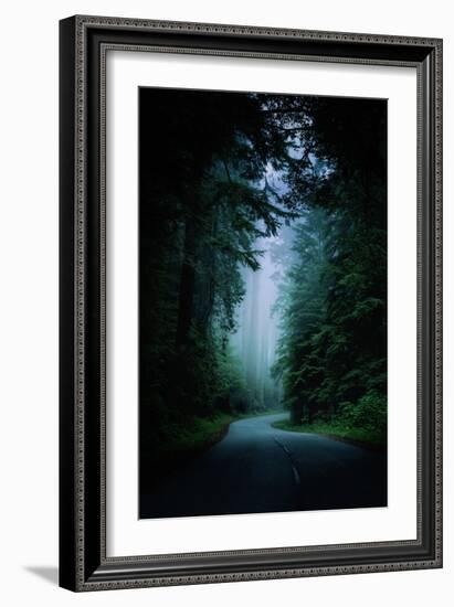 Road Light Redwood Forest California Coast Mystical Mist-Vincent James-Framed Photographic Print