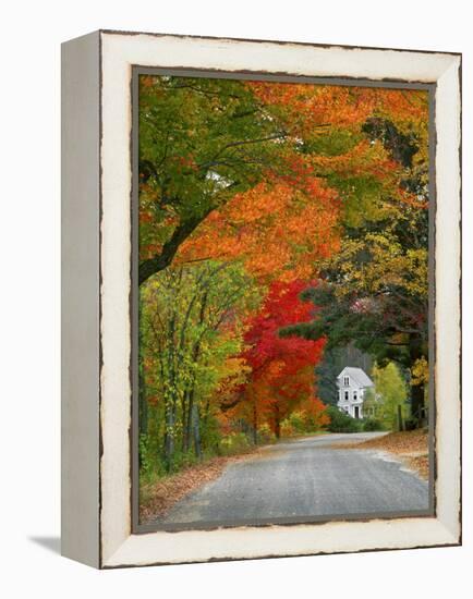 Road Lined in Fall Color, Andover, New England, New Hampshire, USA-Jaynes Gallery-Framed Premier Image Canvas