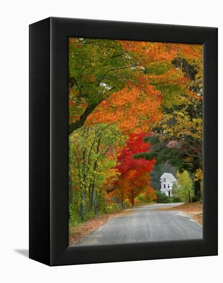 Road Lined in Fall Color, Andover, New England, New Hampshire, USA-Jaynes Gallery-Framed Premier Image Canvas