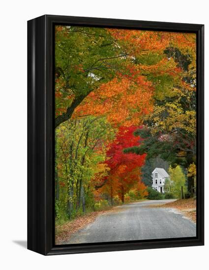 Road Lined in Fall Color, Andover, New England, New Hampshire, USA-Jaynes Gallery-Framed Premier Image Canvas