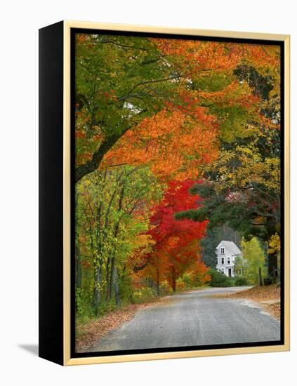 Road Lined in Fall Color, Andover, New England, New Hampshire, USA-Jaynes Gallery-Framed Premier Image Canvas