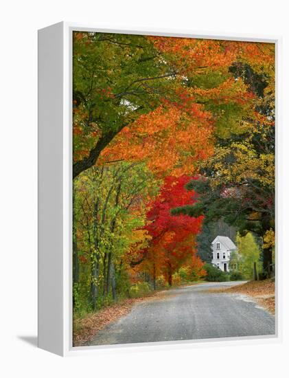 Road Lined in Fall Color, Andover, New England, New Hampshire, USA-Jaynes Gallery-Framed Premier Image Canvas