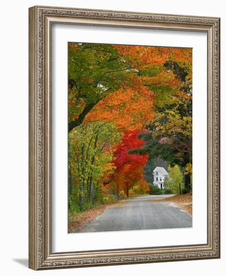 Road Lined in Fall Color, Andover, New England, New Hampshire, USA-Jaynes Gallery-Framed Photographic Print