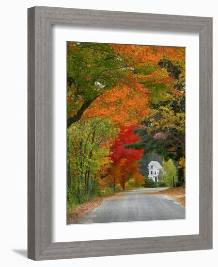 Road Lined in Fall Color, Andover, New England, New Hampshire, USA-Jaynes Gallery-Framed Photographic Print