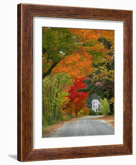 Road Lined in Fall Color, Andover, New England, New Hampshire, USA-Jaynes Gallery-Framed Photographic Print