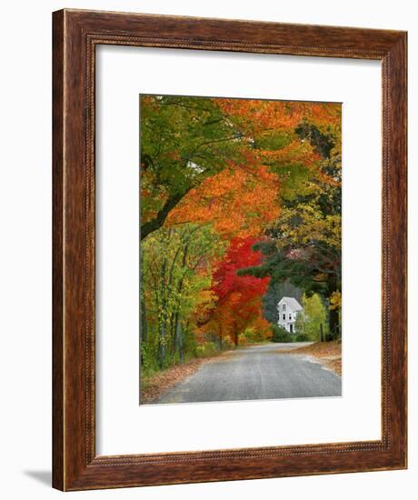 Road Lined in Fall Color, Andover, New England, New Hampshire, USA-Jaynes Gallery-Framed Photographic Print