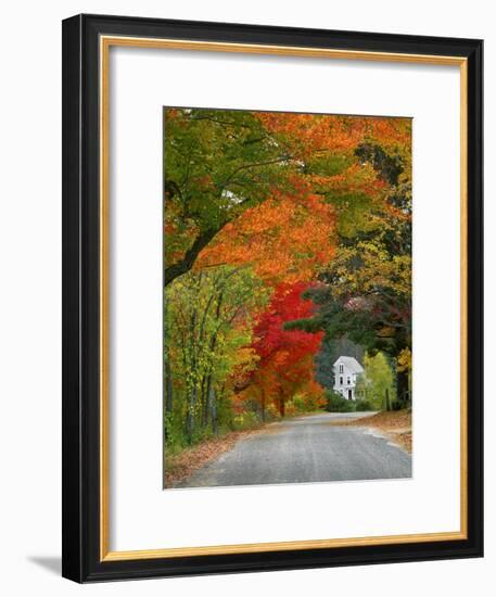 Road Lined in Fall Color, Andover, New England, New Hampshire, USA-Jaynes Gallery-Framed Photographic Print