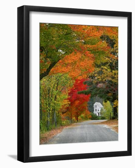 Road Lined in Fall Color, Andover, New England, New Hampshire, USA-Jaynes Gallery-Framed Photographic Print