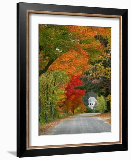 Road Lined in Fall Color, Andover, New England, New Hampshire, USA-Jaynes Gallery-Framed Photographic Print