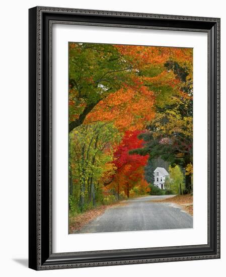 Road Lined in Fall Color, Andover, New England, New Hampshire, USA-Jaynes Gallery-Framed Photographic Print