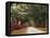 Road Lined with Azaleas and Live Oaks, Spanish Moss, Savannah, Georgia, USA-Adam Jones-Framed Premier Image Canvas