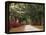 Road Lined with Azaleas and Live Oaks, Spanish Moss, Savannah, Georgia, USA-Adam Jones-Framed Premier Image Canvas