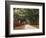 Road Lined with Azaleas and Live Oaks, Spanish Moss, Savannah, Georgia, USA-Adam Jones-Framed Photographic Print