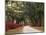 Road Lined with Azaleas and Live Oaks, Spanish Moss, Savannah, Georgia, USA-Adam Jones-Mounted Photographic Print