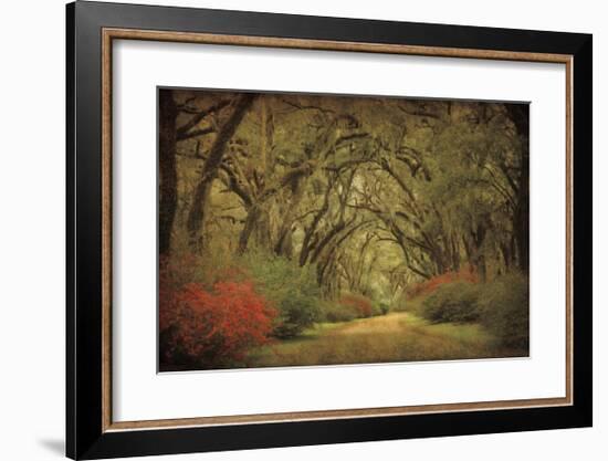 Road Lined With Oaks & Flowers-William Guion-Framed Giclee Print