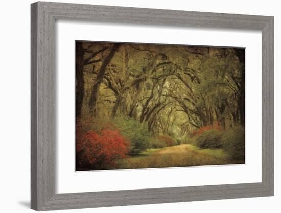 Road Lined With Oaks & Flowers-William Guion-Framed Giclee Print