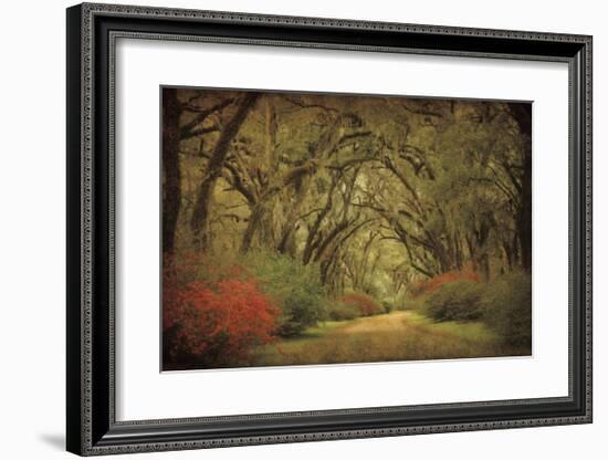 Road Lined With Oaks & Flowers-William Guion-Framed Giclee Print