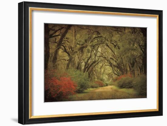 Road Lined With Oaks & Flowers-William Guion-Framed Giclee Print