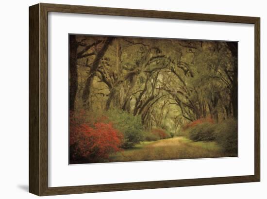 Road Lined With Oaks & Flowers-William Guion-Framed Giclee Print