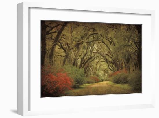 Road Lined With Oaks & Flowers-William Guion-Framed Giclee Print