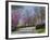 Road Lined with Redbud and Dogwood Trees in Full Bloom, Lexington, Kentucky, Usa-Adam Jones-Framed Photographic Print