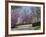 Road Lined with Redbud and Dogwood Trees in Full Bloom, Lexington, Kentucky, Usa-Adam Jones-Framed Photographic Print