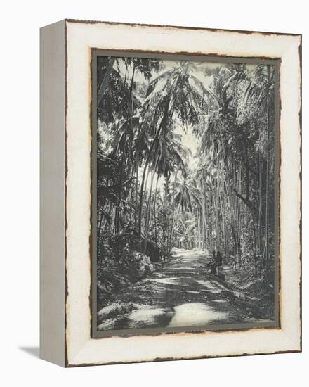 Road Near Colombo, Ceylon, February 1912-English Photographer-Framed Premier Image Canvas